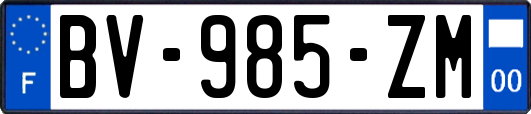 BV-985-ZM