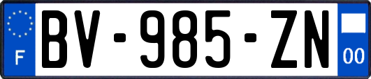 BV-985-ZN