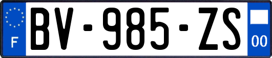 BV-985-ZS