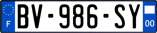 BV-986-SY