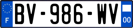 BV-986-WV