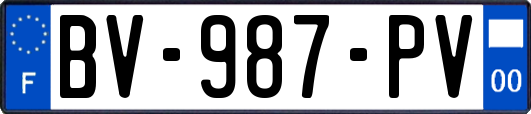 BV-987-PV