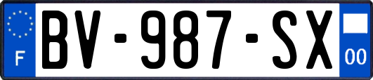 BV-987-SX