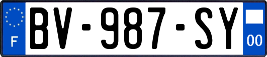 BV-987-SY