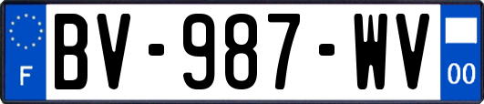 BV-987-WV