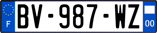 BV-987-WZ