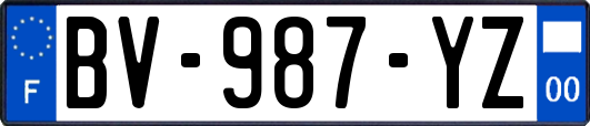 BV-987-YZ