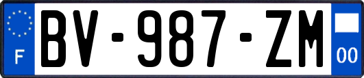 BV-987-ZM