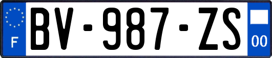 BV-987-ZS