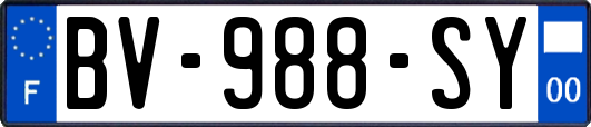 BV-988-SY