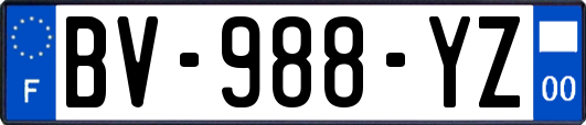 BV-988-YZ