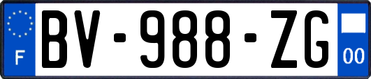 BV-988-ZG