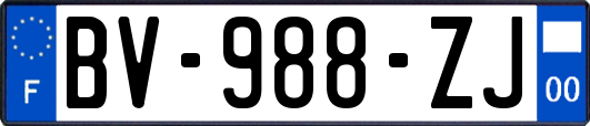 BV-988-ZJ