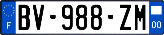 BV-988-ZM