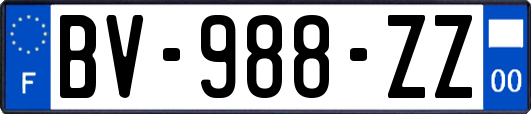 BV-988-ZZ