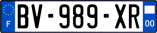 BV-989-XR