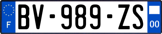 BV-989-ZS