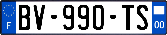 BV-990-TS