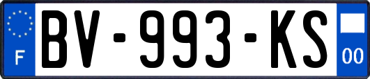 BV-993-KS