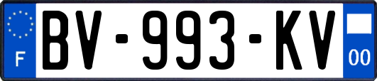 BV-993-KV