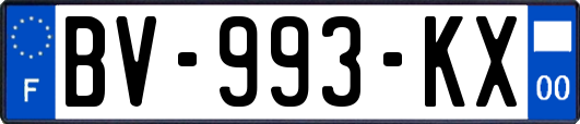 BV-993-KX