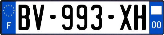BV-993-XH