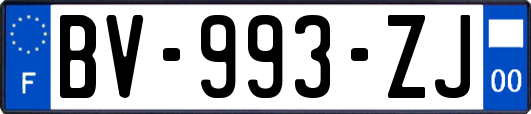 BV-993-ZJ