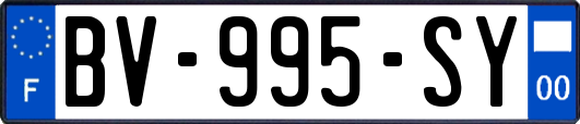 BV-995-SY