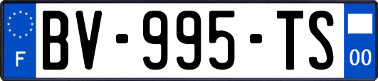 BV-995-TS