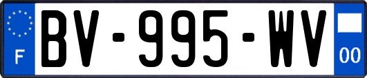 BV-995-WV