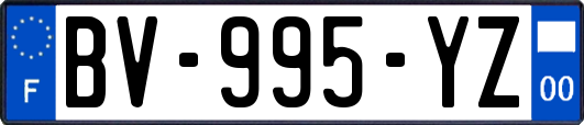 BV-995-YZ