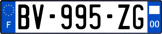 BV-995-ZG