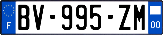 BV-995-ZM