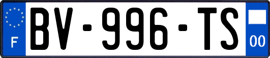 BV-996-TS