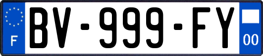 BV-999-FY