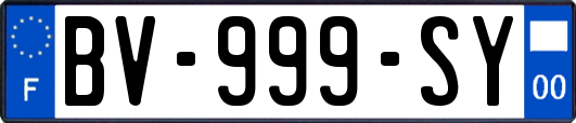 BV-999-SY