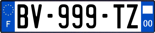 BV-999-TZ