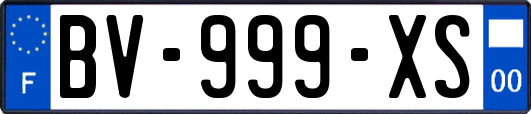 BV-999-XS