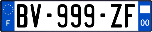 BV-999-ZF