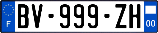 BV-999-ZH