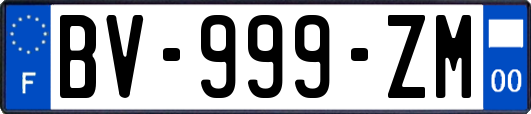 BV-999-ZM