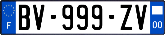 BV-999-ZV