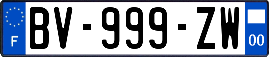 BV-999-ZW