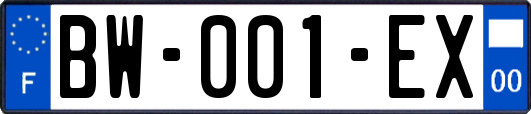 BW-001-EX