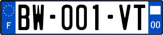 BW-001-VT