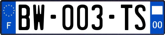 BW-003-TS