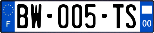 BW-005-TS