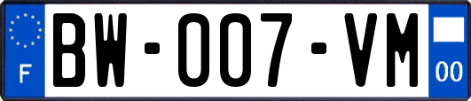 BW-007-VM