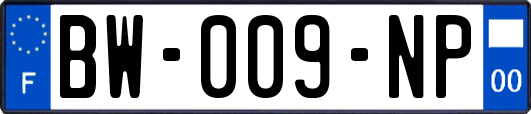 BW-009-NP