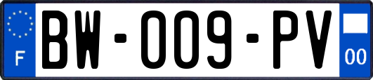 BW-009-PV